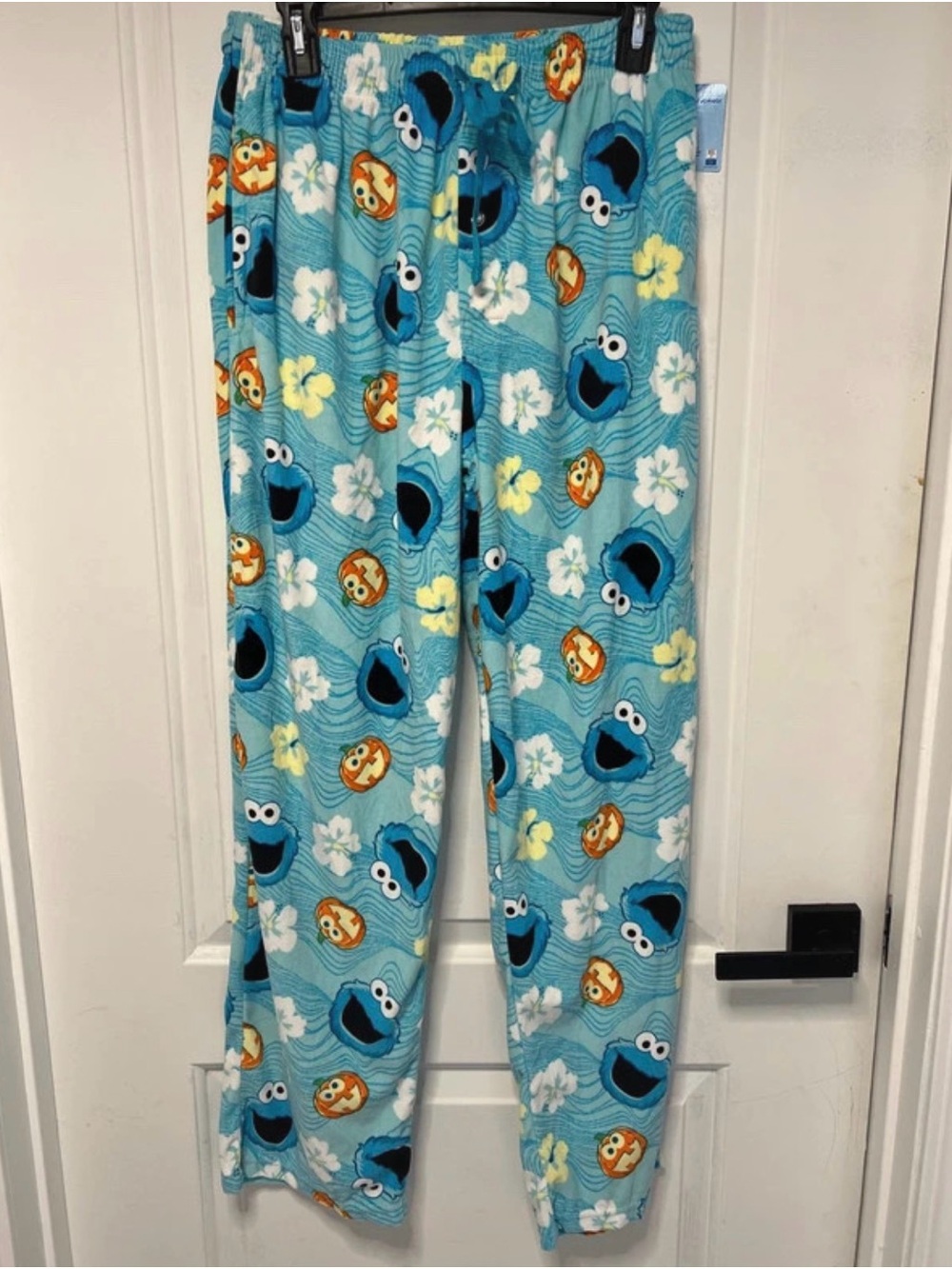Sesame Street Teal Cookie Monster Fleece Pajama Bottoms
